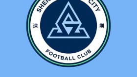 山东泰山队京沪对决展现坚韧防守 主裁判罚引热议